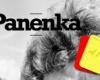 La revista Panenka trae 25 páginas sobre árbitros… ¡Consíguela gratis!