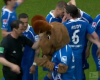 El árbitro expulsó a la mascota de Hoffenheim