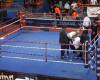 Una salvaje agresión a un árbitro de boxeo en Croacia