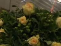 Un vídeo que resume el crimen de Holanda